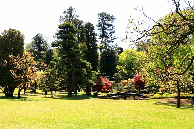藤田記念庭園-15