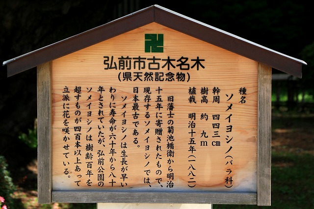 弘前公園-7