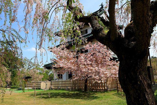 弘前公園-1