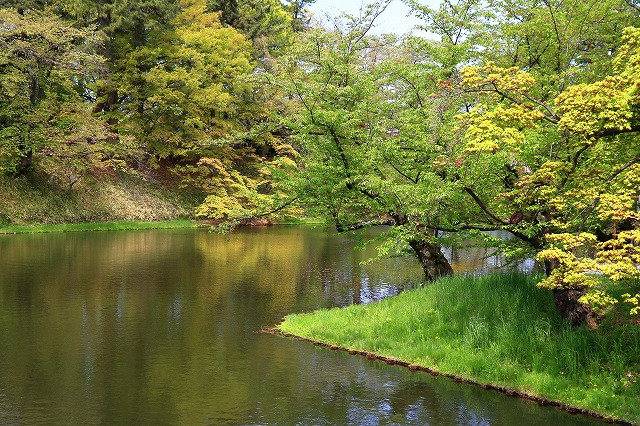 弘前公園-3