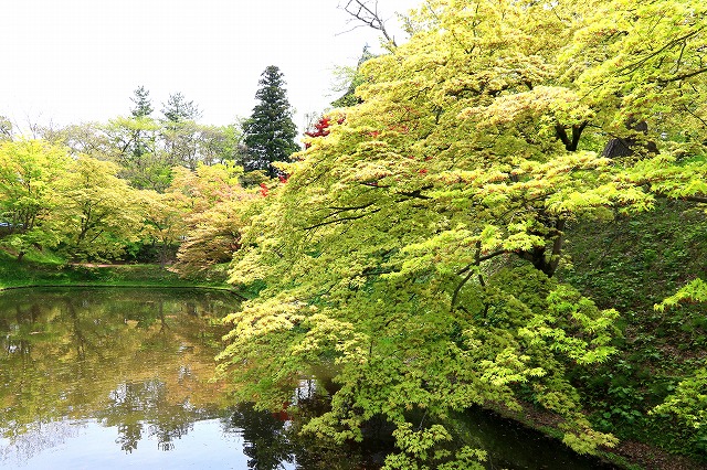 弘前公園-4