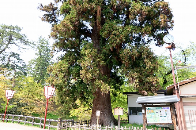 弘前公園-8