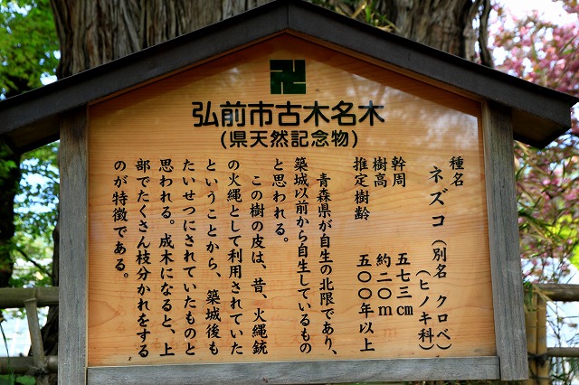 弘前公園-11