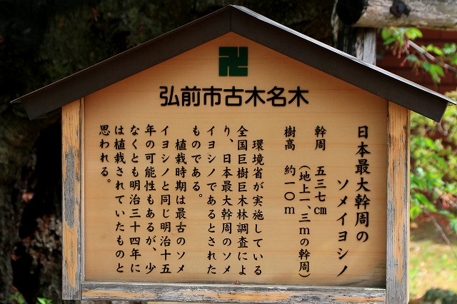 弘前公園-15