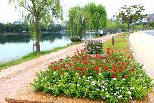 大濠公園