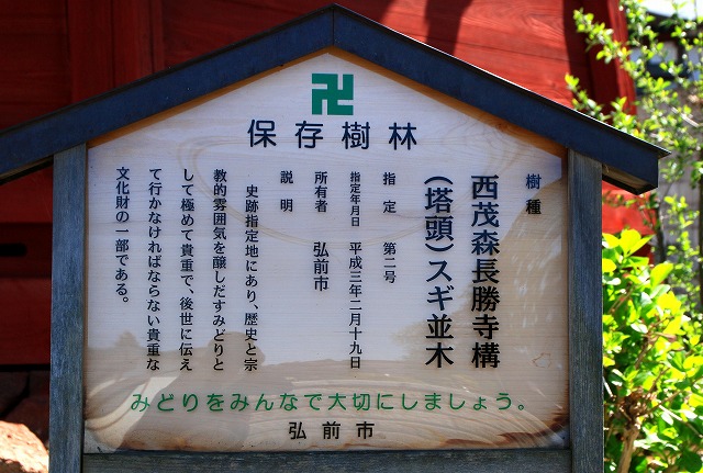 杉林-2