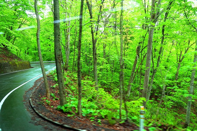車窓からの風景