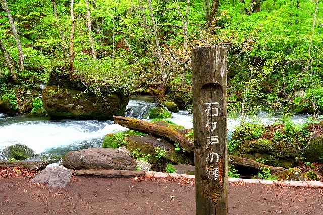 奥入瀬渓流-10