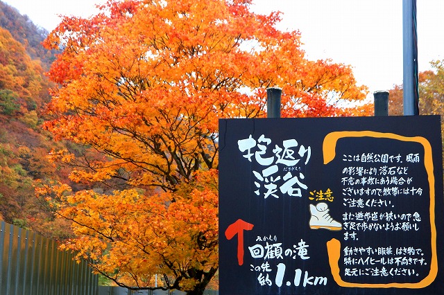 抱返り渓谷-1