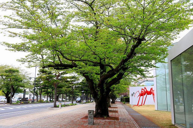 十和田市-1