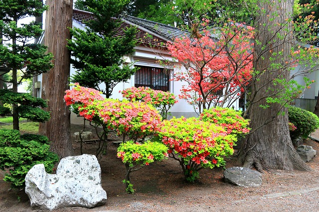 十和田市-4