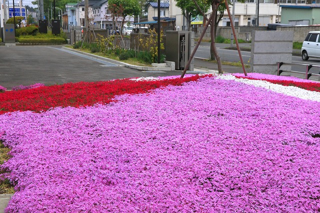 十和田市-11