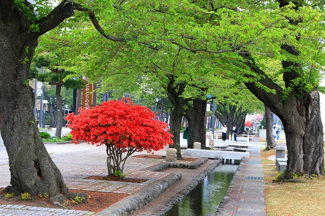 十和田市-15