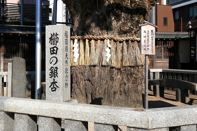 櫛田神社-3