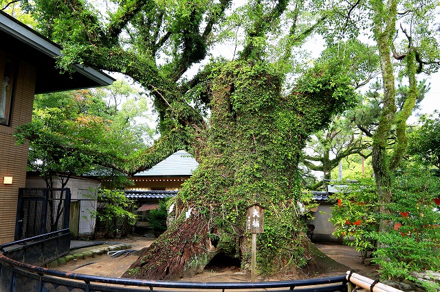 筥崎宮-4