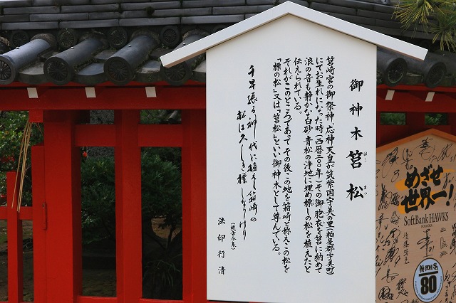 筥松-2