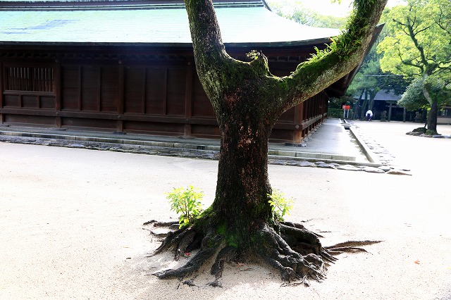 境内の風景-1