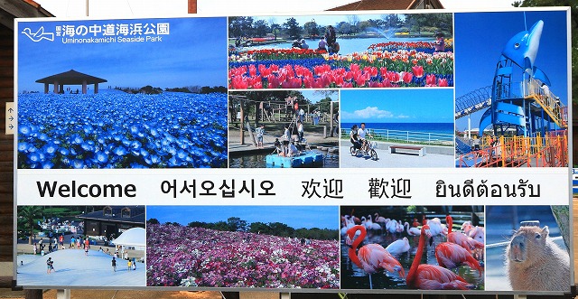JR海の中道駅-2