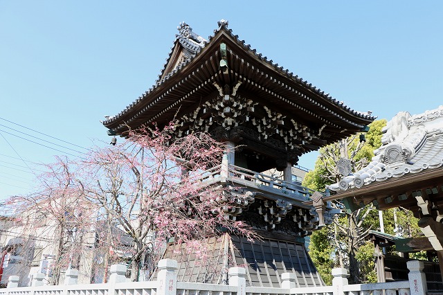 帝釈天-5