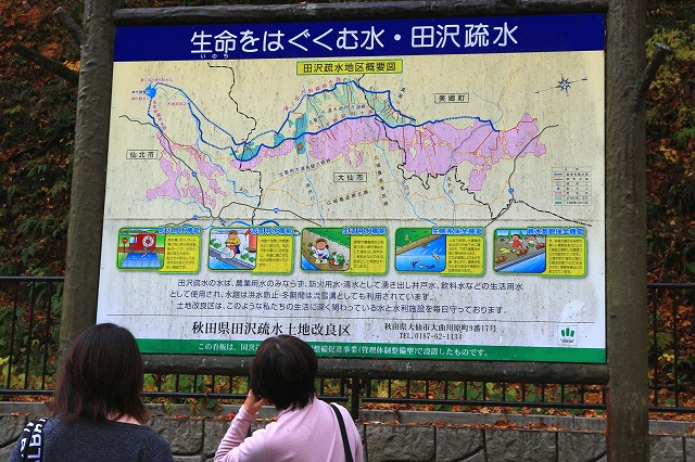 抱返り渓谷-17