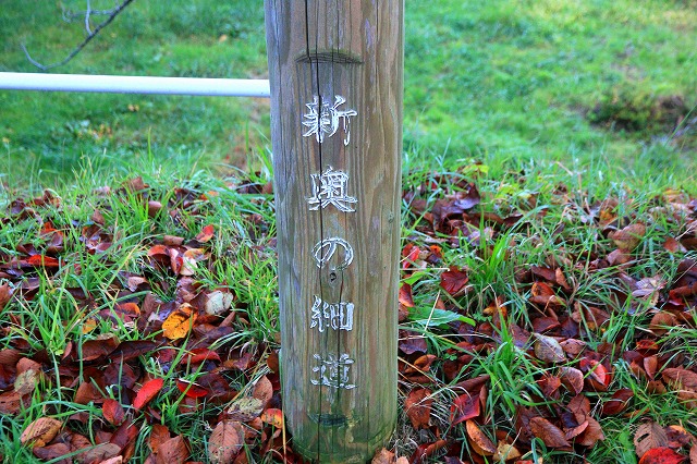 角館-173