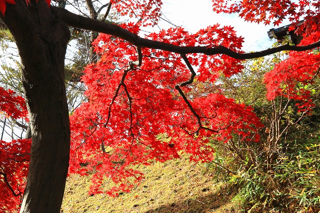 秋田-144