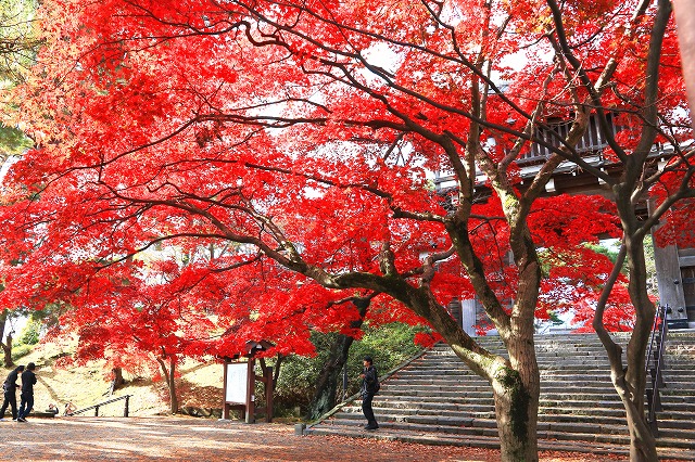 秋田-145