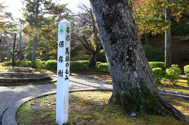 秋田-169