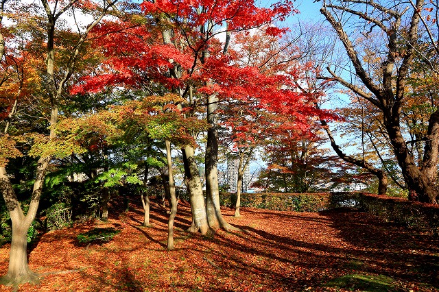 秋田-177