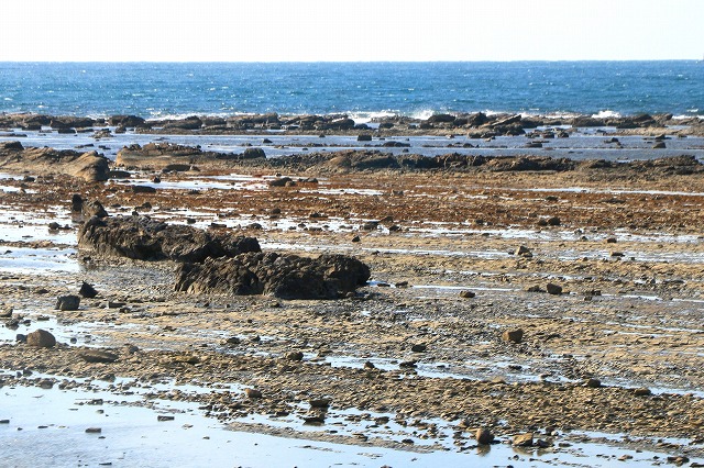 男鹿半島-117