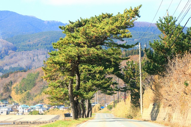 男鹿半島-119