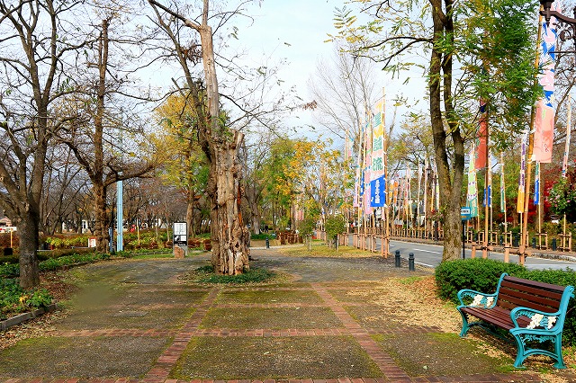 小坂-50