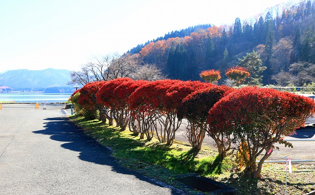 田沢湖-51