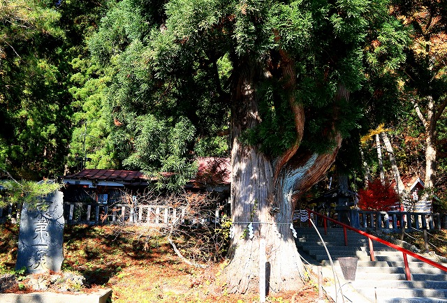 田沢湖-71