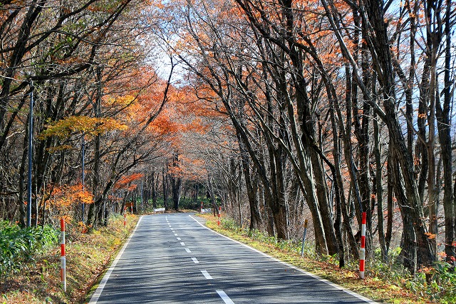 田沢湖-79