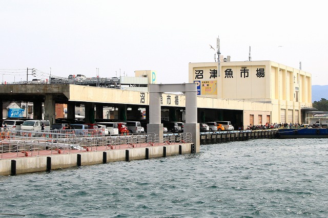 深海水族館-166