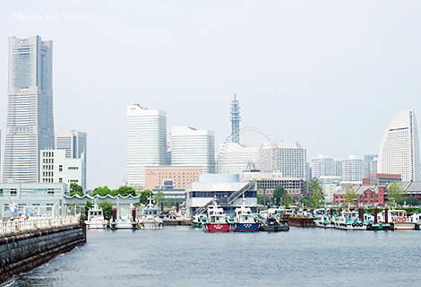 20100815_2.jpg