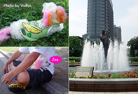 20100815_3.jpg