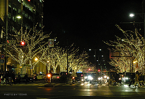 20101214_3.jpg