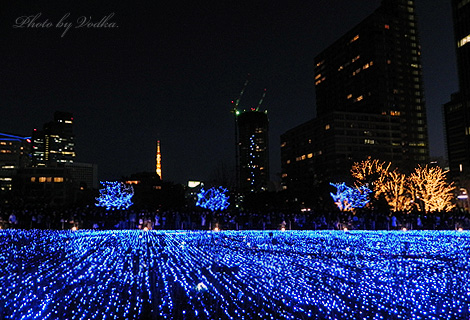 20101223_4.jpg