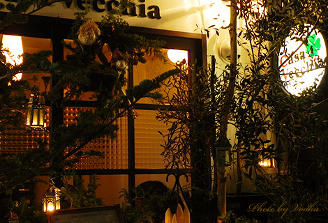 20101223_8.jpg