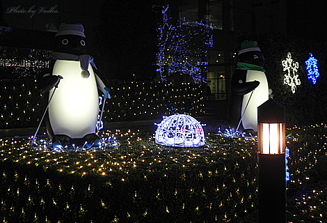 20101228_3.jpg