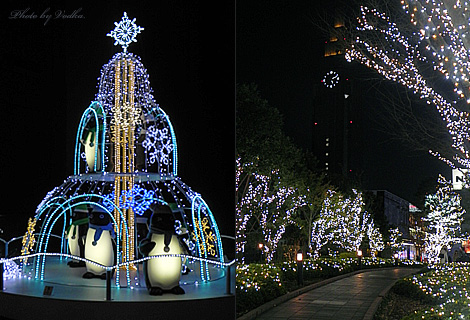 20101228_4.jpg