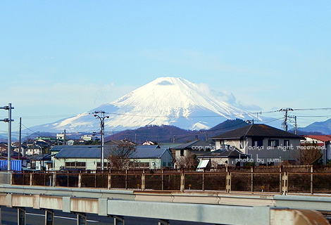 20110102.jpg