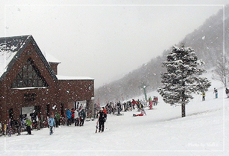 20110226.jpg