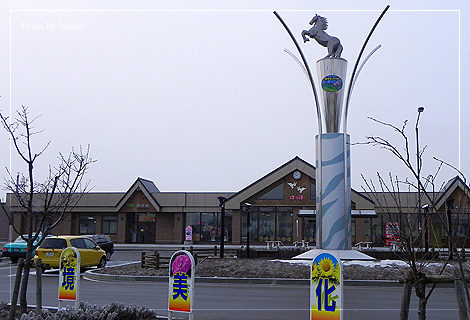 20110227.jpg
