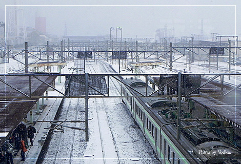 20110227_3.jpg