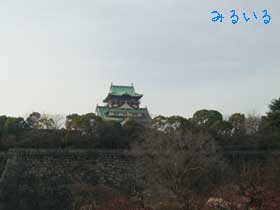 大阪城の梅林に行ってきました1
