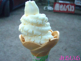 奈良公園の日本酒ソフトクリームを断念して豆腐ソフトクリームを食べました 手作りアクセサリー工房みるいる 手作りアクセサリー工房みるいる店長日記