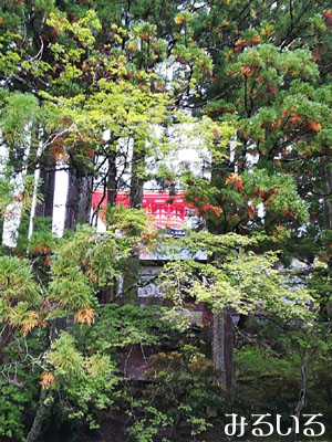 高野山 壇上伽藍をここから撮ってみる|手作りアクセサリー工房みるいる